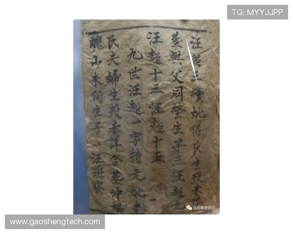 宸惧讣閫愭ⅵ钂叉渤鐣旓紒2025 娌堥槼娌堝寳濂冲瓙鍗婇┈鐕冩儏鏀跺畼