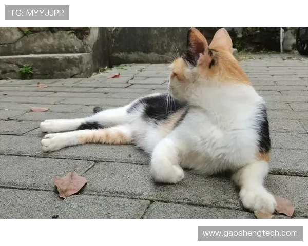 姹熻嫃濂虫帓鍓戞寚鍗啎锛侀潚鏄ラ鏆村腑鍗锋帓鍧涳紝娌触璞己鎴愭嫤璺檸